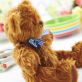 Soft Heritage Teddy