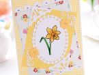 Daffodil, Tulip, Bluebells & Snowdrop Spring Flower Motifs