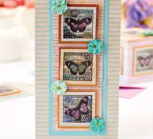 Stamped Butterfly Set