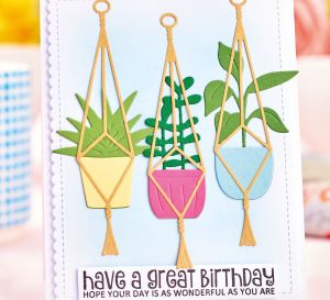Succulent Birthday Card