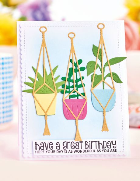 Succulent Birthday Card