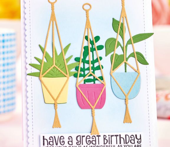 Succulent Birthday Card