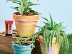 Paint Terracotta Pots