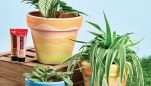 Paint Terracotta Pots