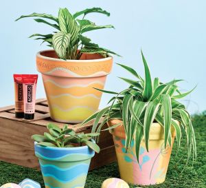 Paint Terracotta Pots