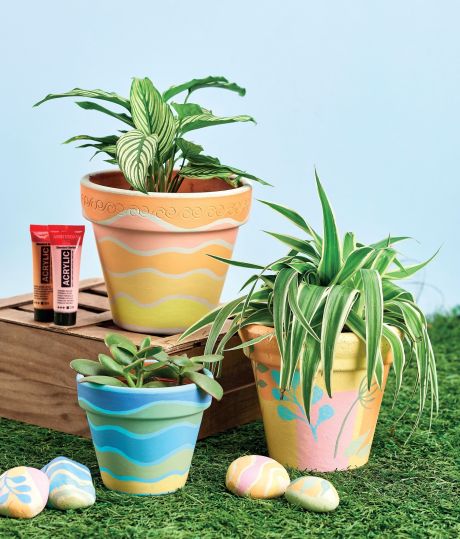 Paint Terracotta Pots Paint Terracotta Pots