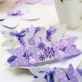 Butterfly Wedding Favour Boxes