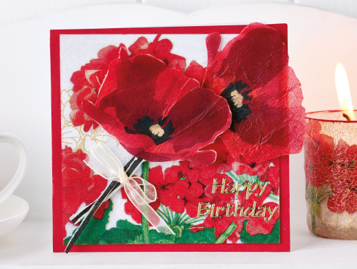 Poppy Gift Set