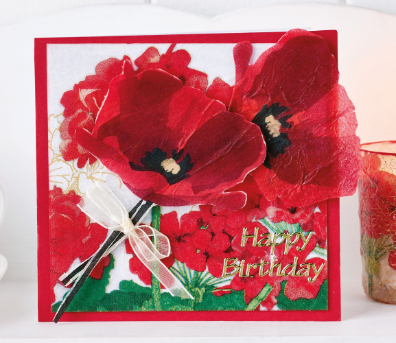 Poppy Gift Set