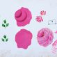 Decorative Painted Rose Plaque