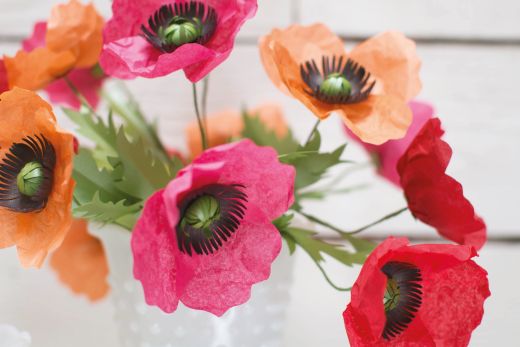 Win One Of Three Lia Griffith Subscriptions