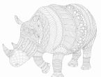 Wild Savannah Colouring In Page