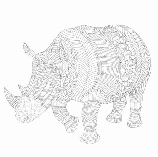 Wild Savannah Colouring In Page