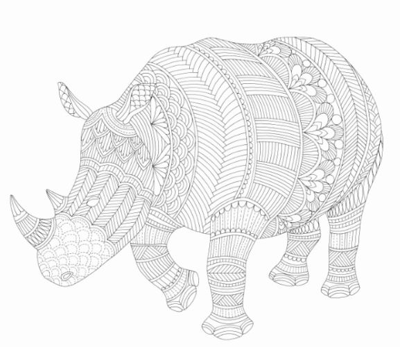 Wild Savannah Colouring In Page