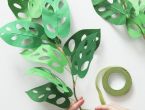 Make a Paper Houseplant