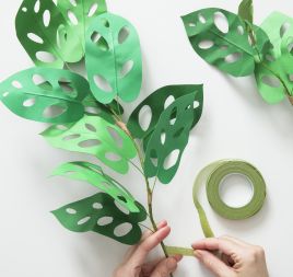Make a Paper Houseplant Make a Paper Houseplant