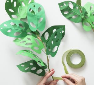 Make a Paper Houseplant