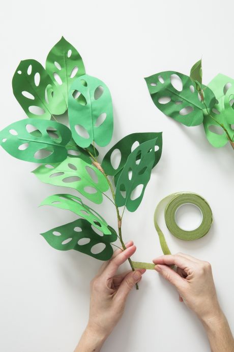 Make a Paper Houseplant