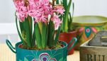 Painted Planters