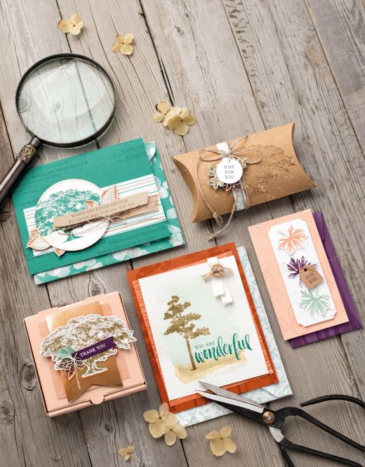 Win One Of Four Stampin’ Up! Bundles