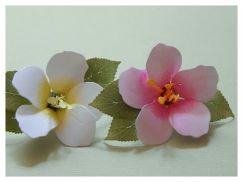 Spellbinders Cherry Blossoms