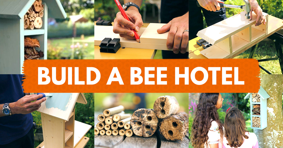 Build A Bee Hotel