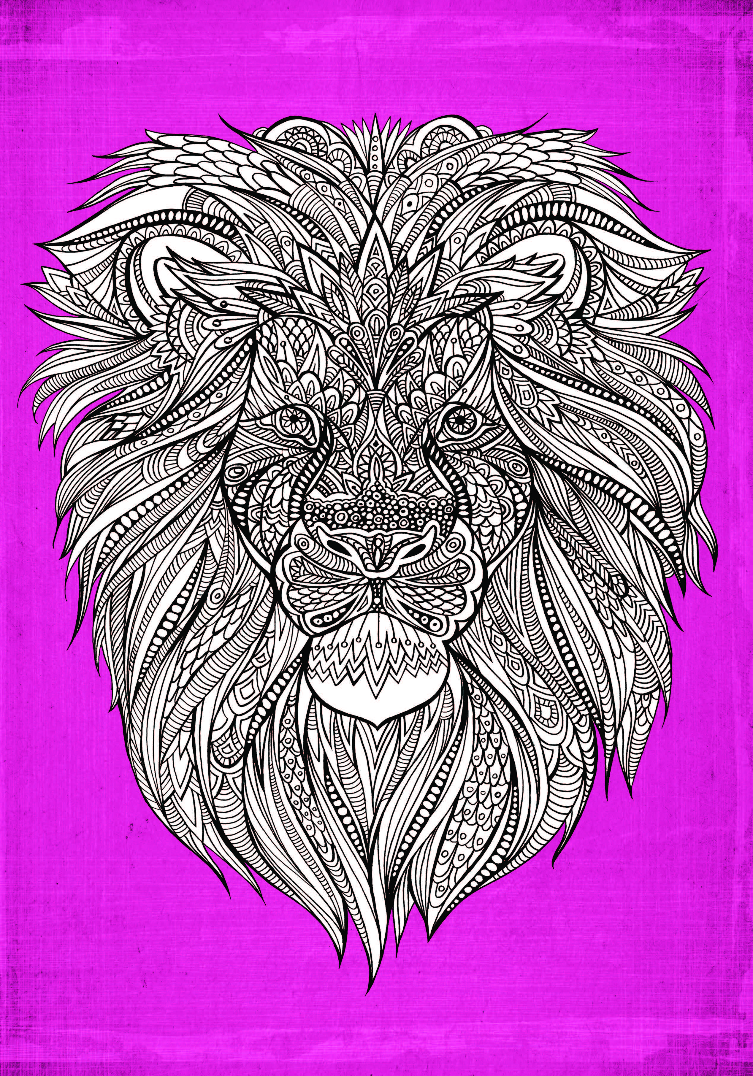 7 Amazing Animals To Colour In