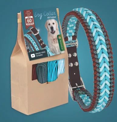 The Perfect Pet Crafts to Spoil Your Furry Friend