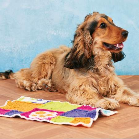 The Perfect Pet Crafts to Spoil Your Furry Friend