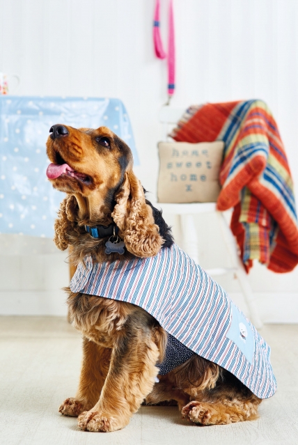 The Perfect Pet Crafts to Spoil Your Furry Friend