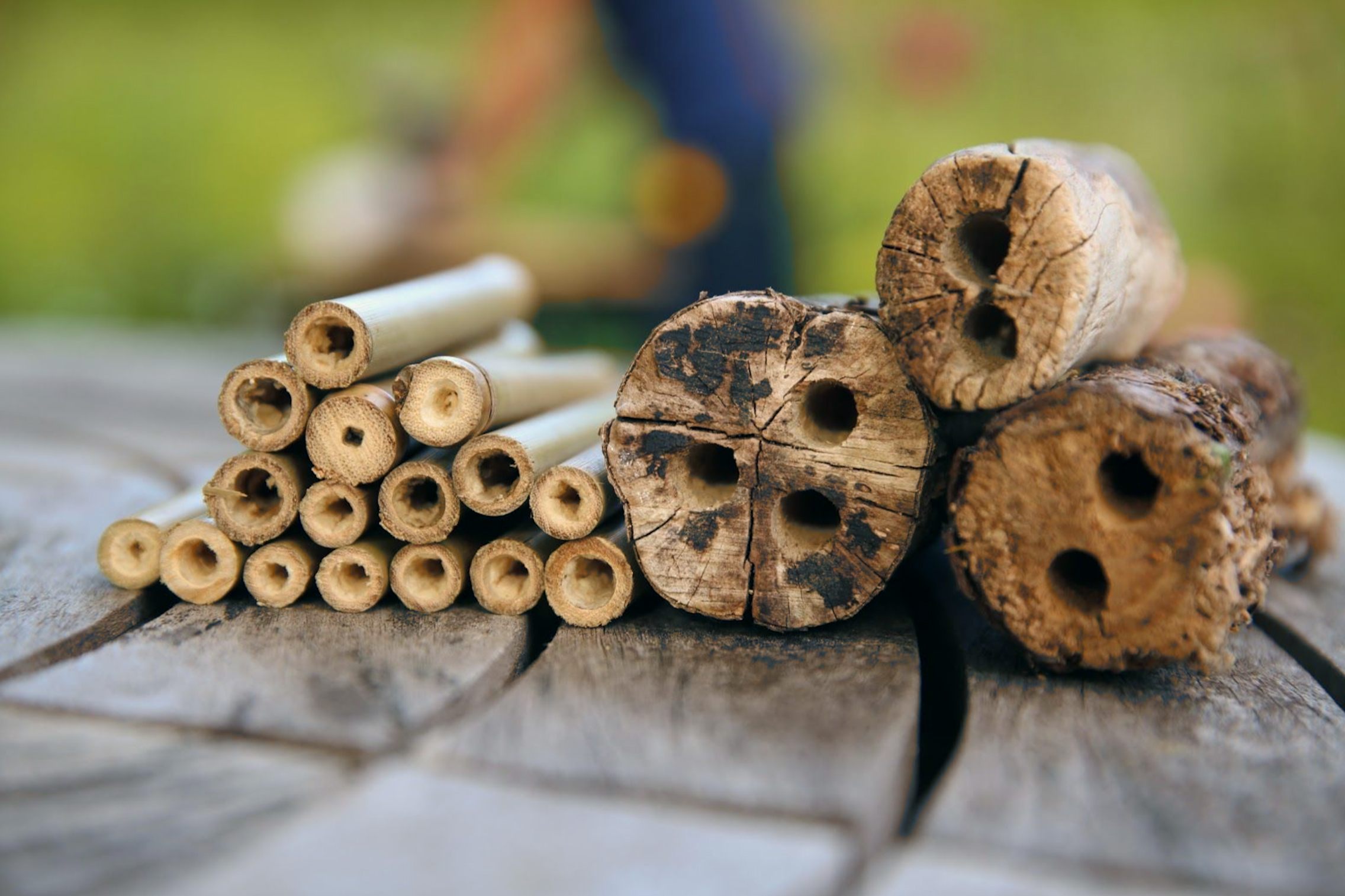 bee hotel