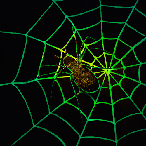 Glow in the Dark Spider Web Halloween Decoration