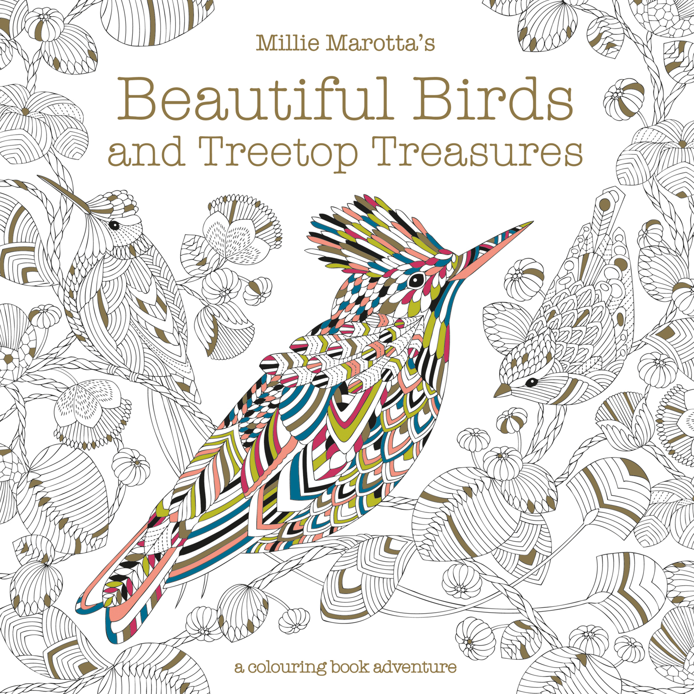 Millie Marotta Beautiful Birds and Treetop Treasures Colouring Downloads