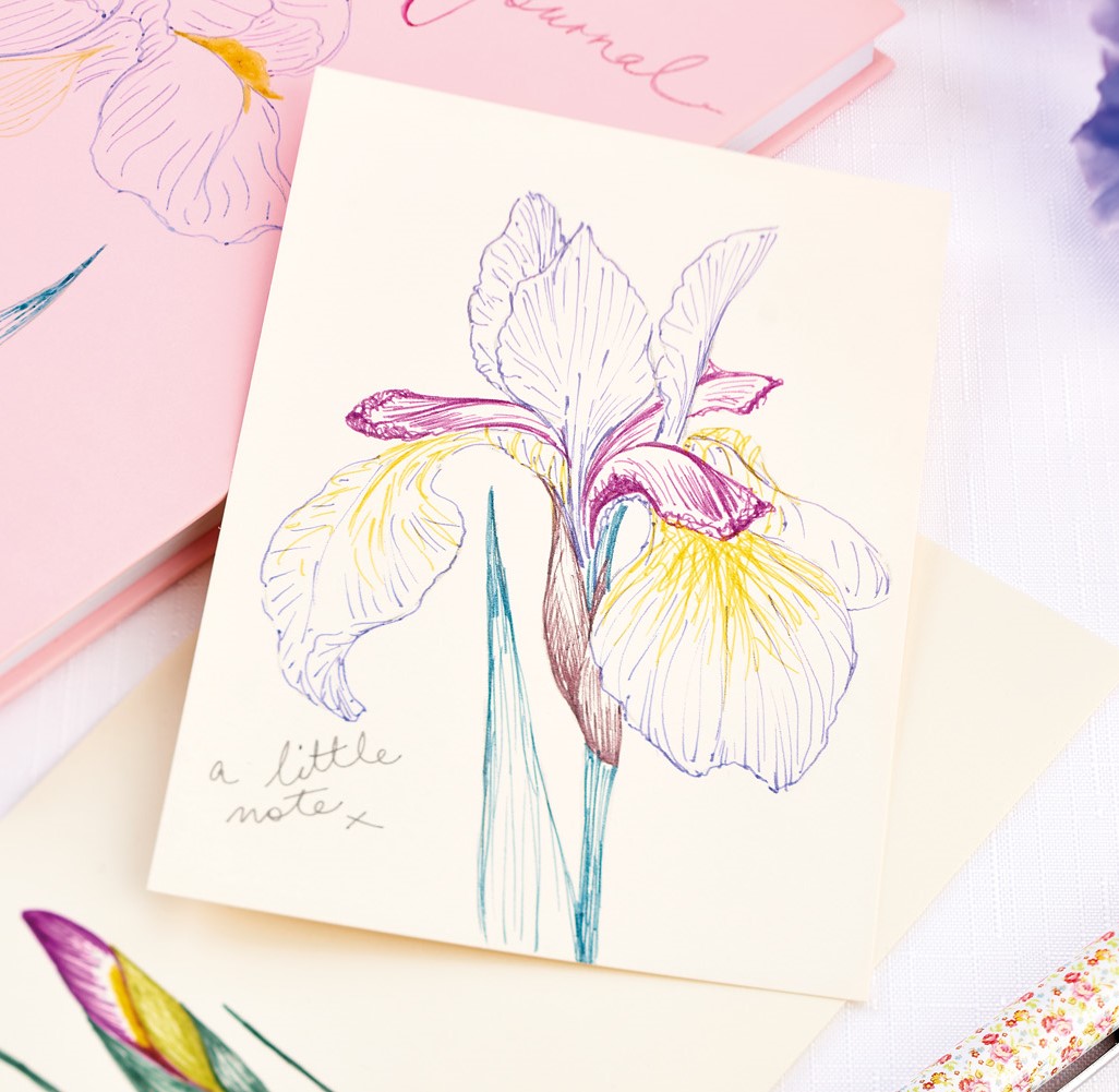 How To Draw Elegant Flower Illustrations With EMOTT