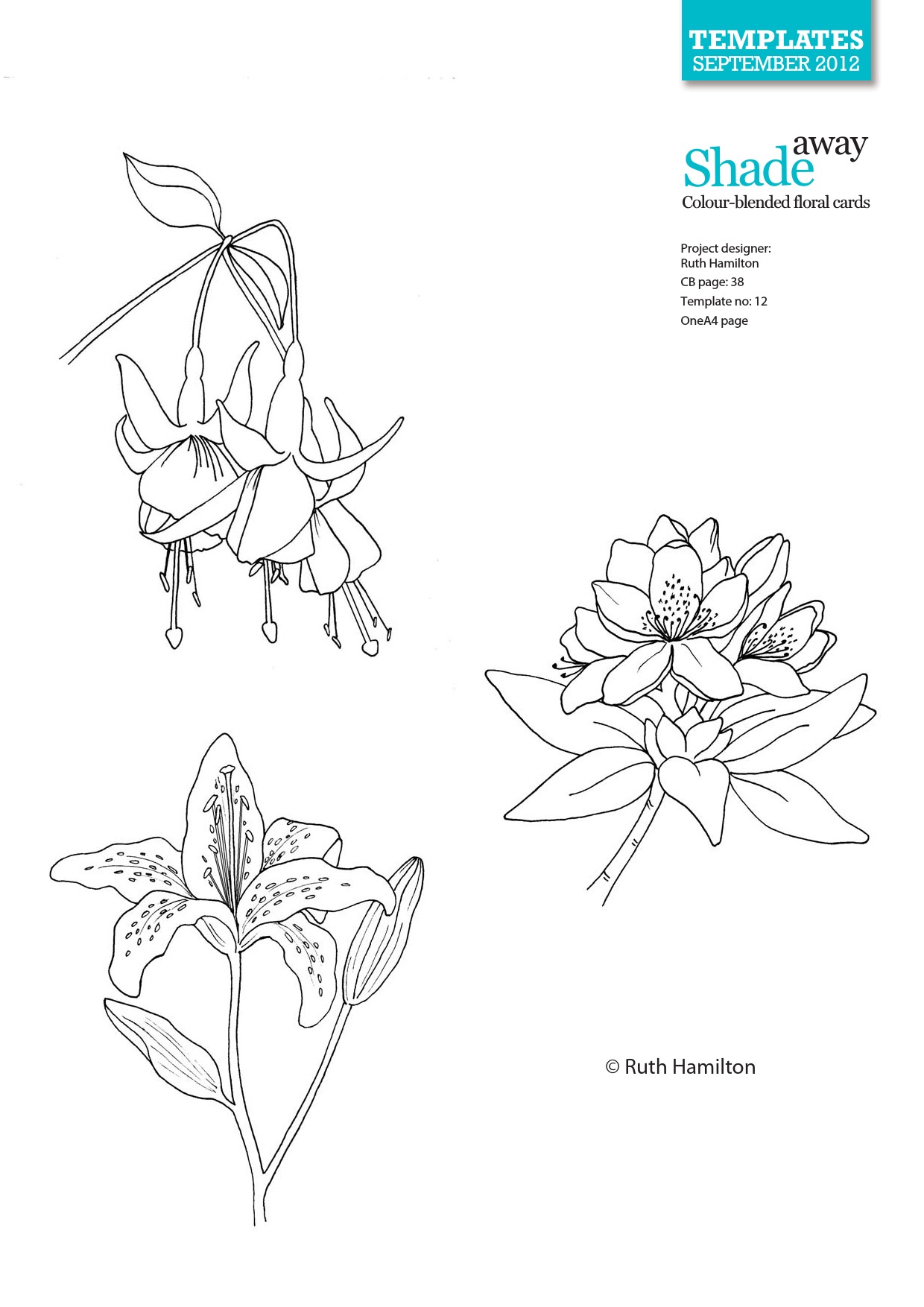 Colour-Blended Floral Cards