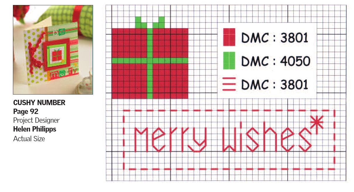 Festive Cushion And Tag
