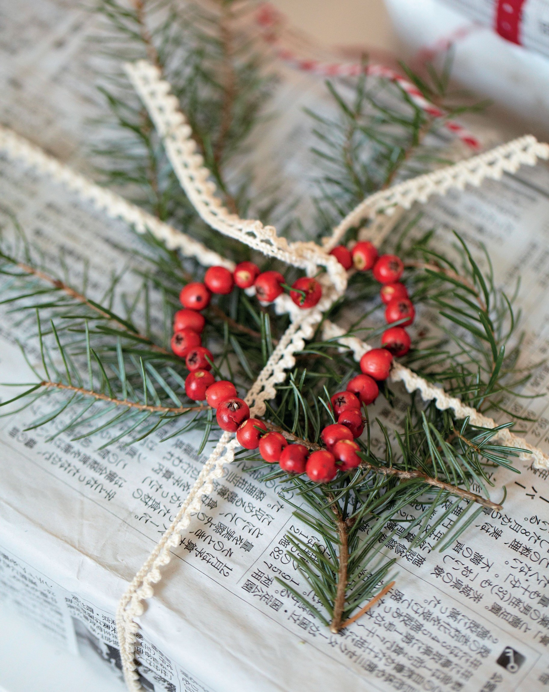 Gift Wrap with Winter Foliage